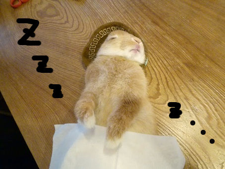 ¤ª¤Ò¤µ¤Þ2-3.jpg