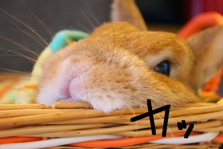 ¤ª¤Ò¤µ¤Þ2-17.jpg