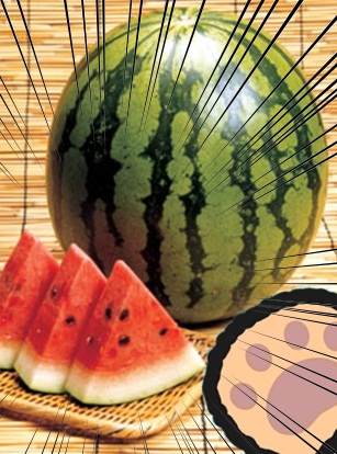 ¼ï¤È¤Ð¤·4.jpg