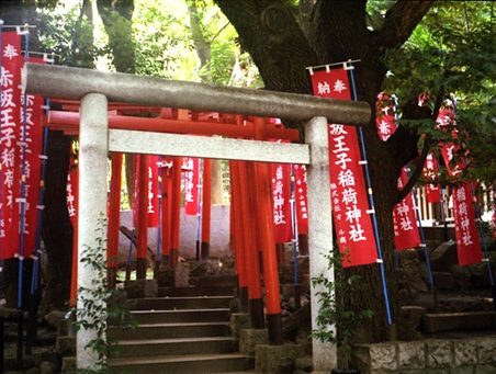 乃木神社26.jpg
