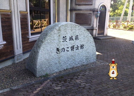 きのこ博士館3.jpg
