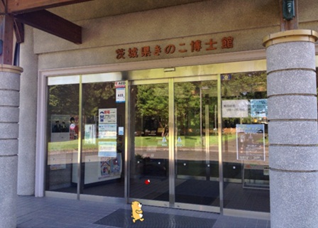 きのこ博士館5.jpg