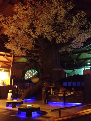 きのこ博士館21.jpg