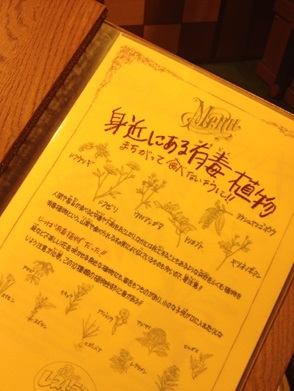 きのこ博士館38.jpg