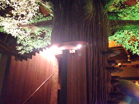 きのこ博士館42.jpg