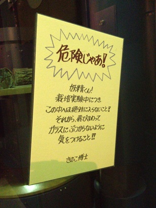 きのこ博士館48.jpg