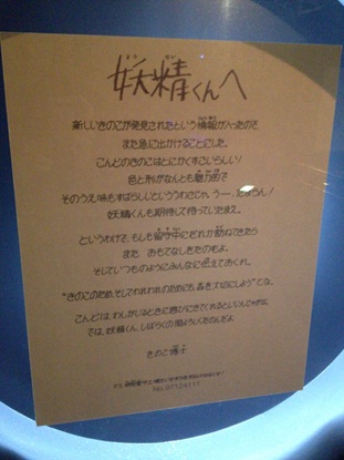 きのこ博士館53.jpg