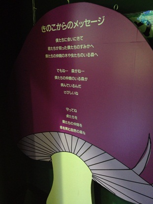 きのこ博士館54.jpg