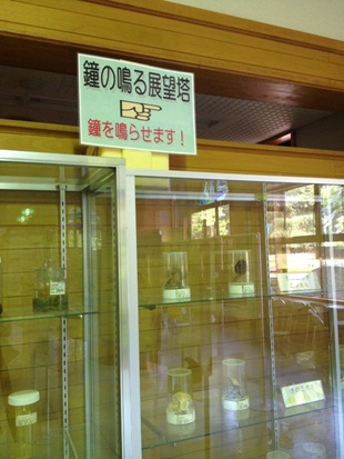 きのこ博士館55.jpg