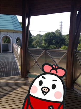 きのこ博士館59.jpg