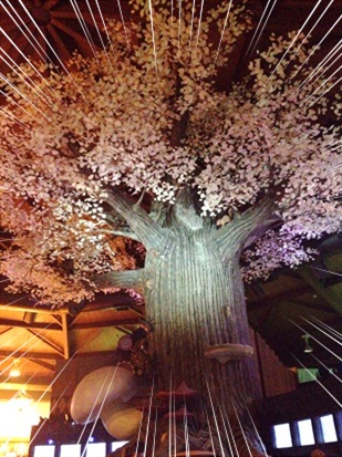 きのこ博士館16.jpg