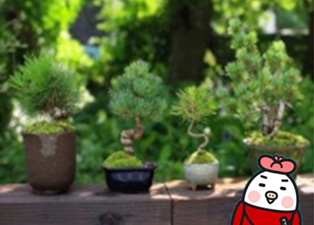 29話11.jpg