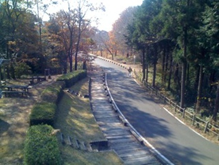 森林公園1.jpg