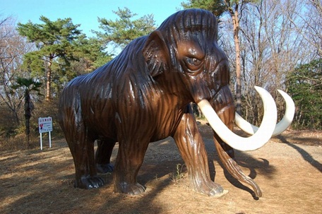 森林公園14.jpg
