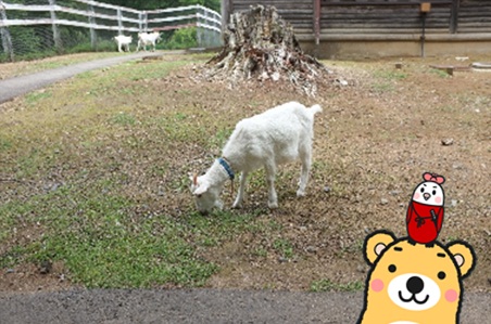 森林公園21.jpg