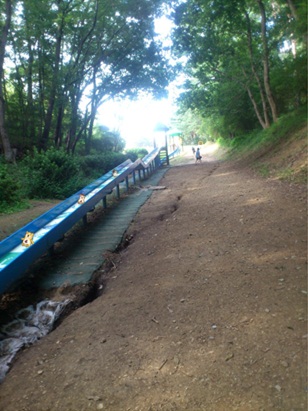 森林公園36.jpg