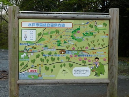 森林公園40.jpg