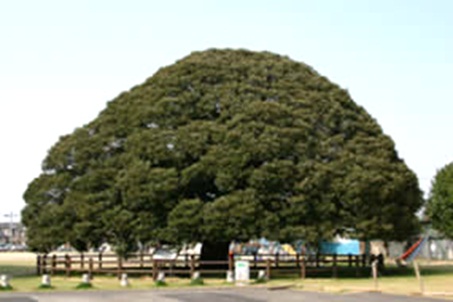ホロルの湯32.jpg