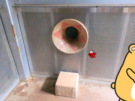 くれふし17.jpg