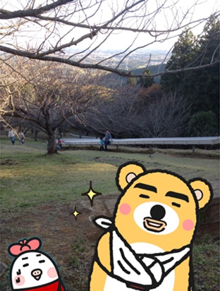スカイロッジ24.jpg