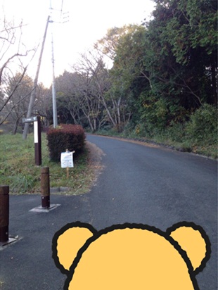 スカイロッジ26.jpg