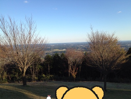 スカイロッジ35.jpg