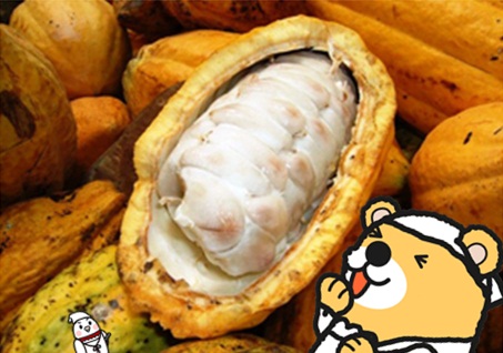 チョコ作り3.jpg