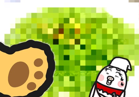 チョコ作り17.jpg