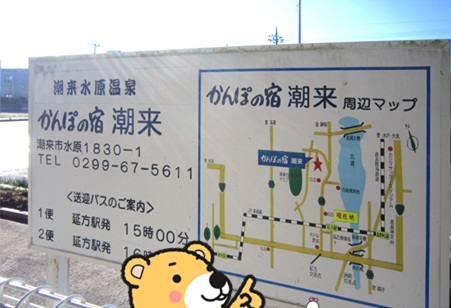 白鳥の里2.jpg