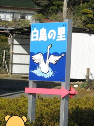 白鳥の里3.jpg