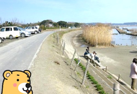 白鳥の里4.jpg