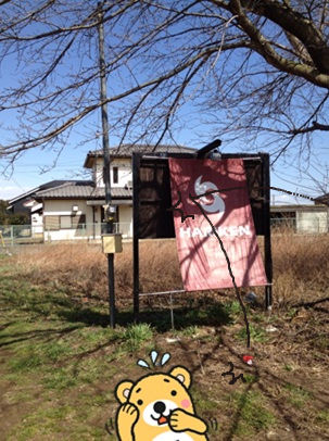 ハリケン2.jpg