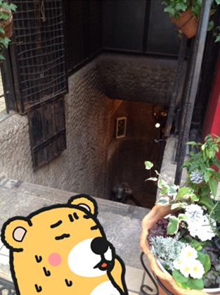 くぐつ草6.jpg