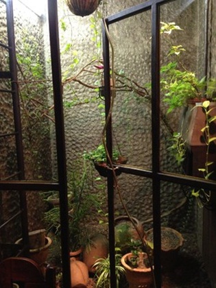 くぐつ草後編21.jpg