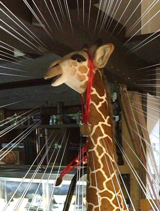 サザ7.jpg