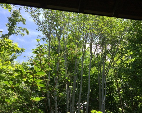 麦家26.jpg