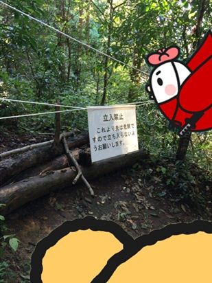 きのこ狩り8.jpg