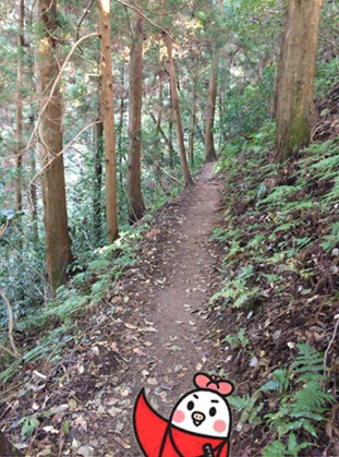 きのこ狩り2.jpg