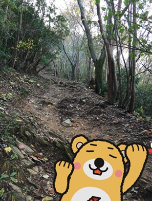 きのこ狩り10.jpg