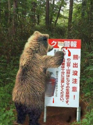 きのこ狩り15.jpg