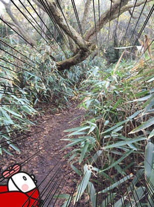 きのこ狩り11.jpg