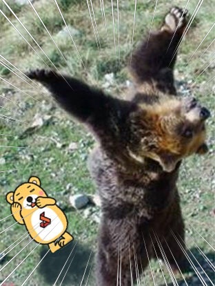 きのこ狩り12.jpg
