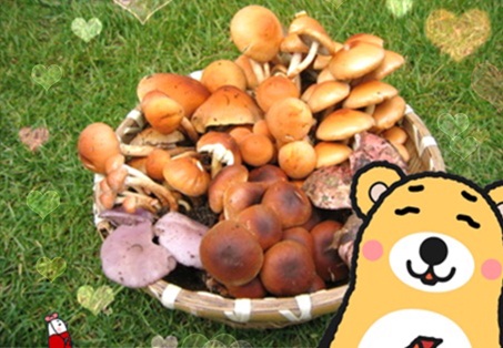 きのこ狩り18.jpg