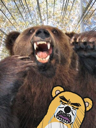 きのこ狩り13.jpg