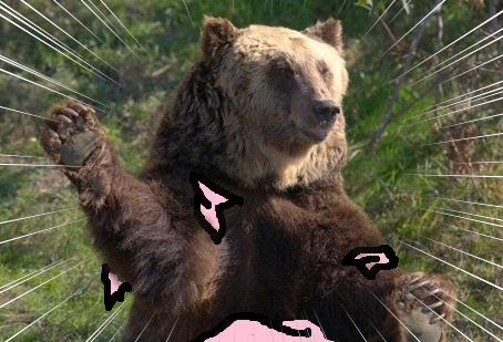 きのこ狩り17.jpg