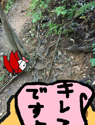 きのこ狩り20.jpg