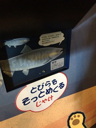 めんたいパーク15.jpg