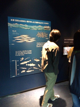 めんたいパーク20.jpg