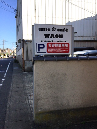 WAON65.jpg