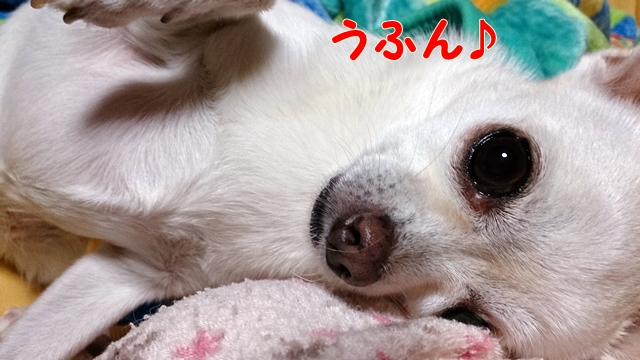 DSC_0598.jpg